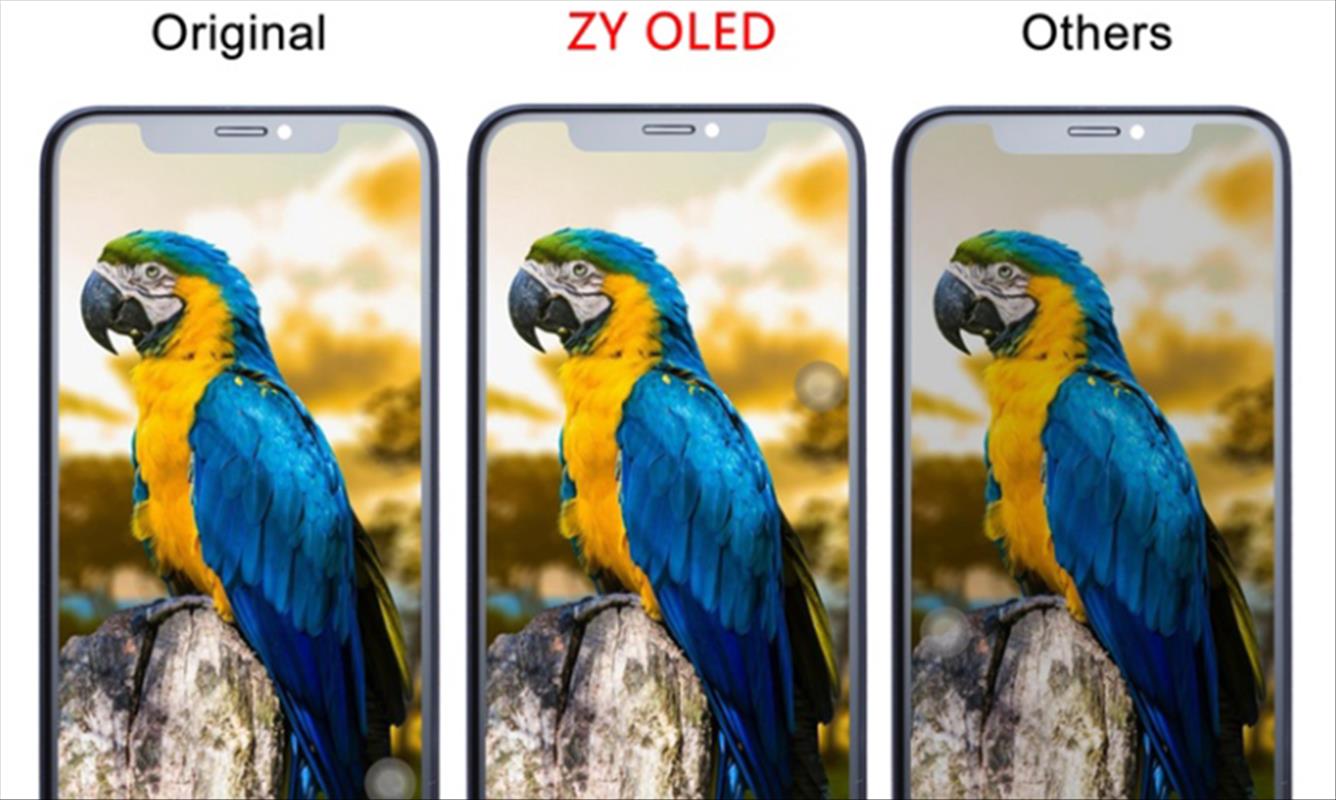 ZY第三代iPhone X 硬OLED：让1.2米跌落测试成为可能